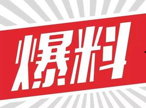 爆料最新资源在线观看